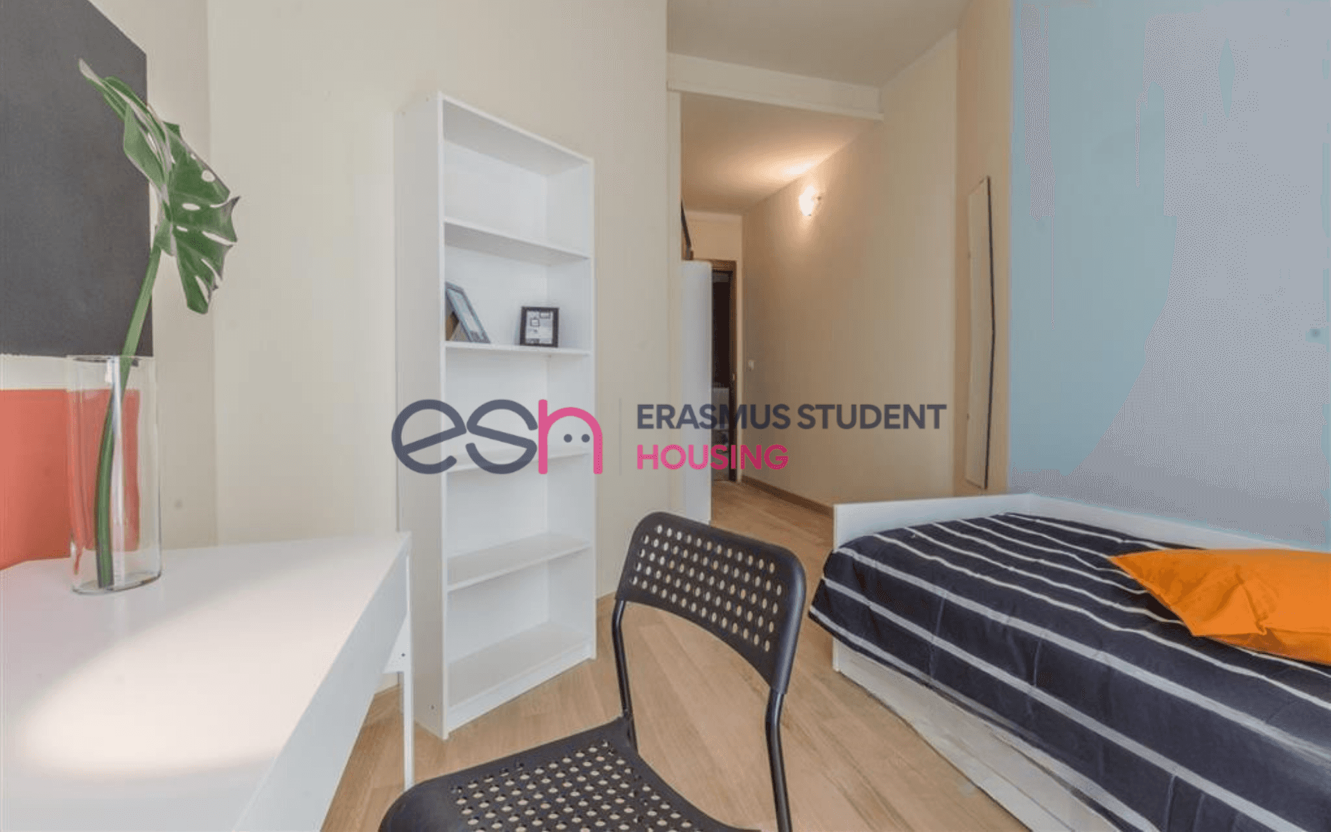 Room in Pisa