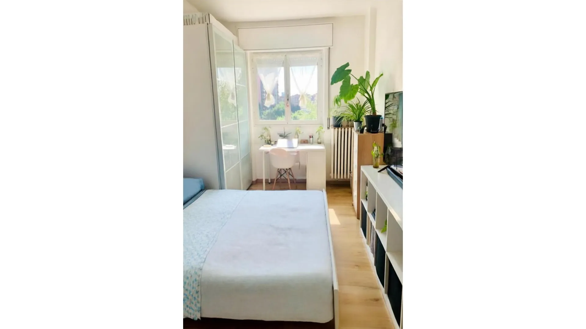 Room 11
